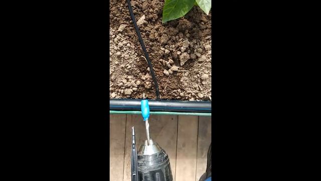 Теплица и капельный полив.