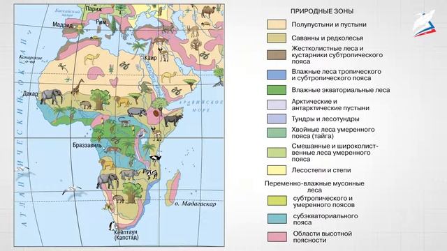Особенности природы Африки. Районирование Африки.Население Африканского континента. смотреть онлайн
