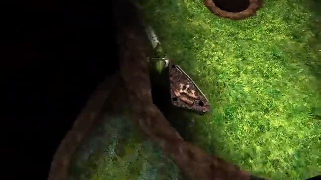 Adventure Pinball: Forgotten Island, Single Table: Vertigo Peak, 907816500, Part 3 смотреть онлайн