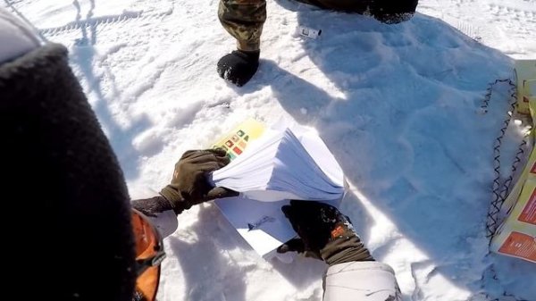 7,62 x 54 vs .308 по бумаге! Сравниваю пробивную силу калибров винтовки Мосина и Вепрь 308