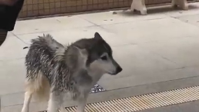 первый раз в бассейне смотреть онлайн