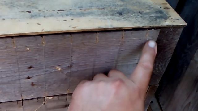 Альпийский улей для сотового меда профессор кислых щей представляет смотреть онлайн