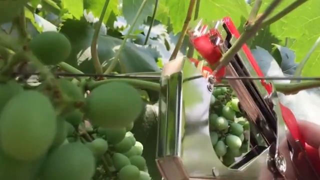 Тапенер, удобный садовый степлер для подвязки растений #HAPPYMALL смотреть онлайн