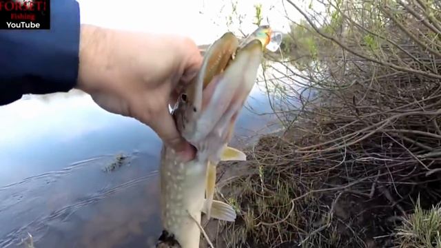 ВЕСЕННИЙ СУПЕР ТОП ВОБЛЕРОВ | SPRO FISHING | KOSADAKA HOST смотреть онлайн