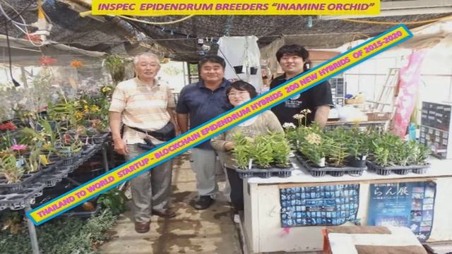 STARTUP AND BLOCKCHAIN IN EPIDENDRUM HYBRIDS THE WORLD ON 1993 2020 смотреть онлайн