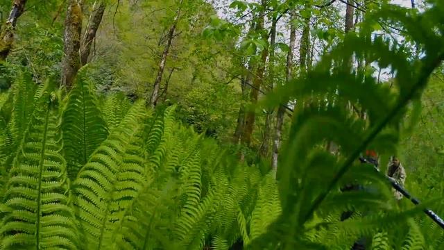 Ловля форели в Абхазии. смотреть онлайн