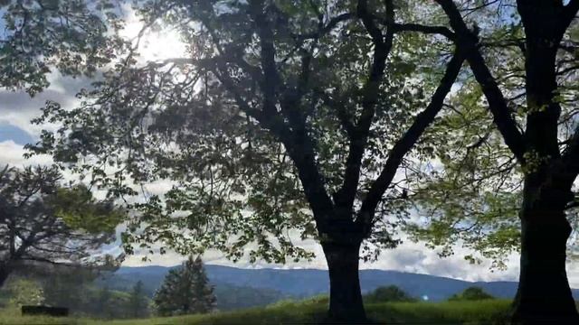 Om Babaji смотреть онлайн