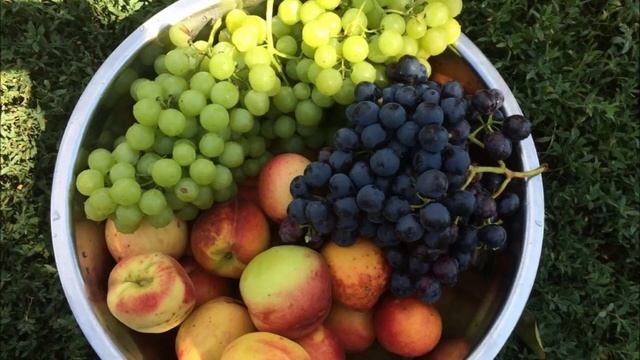 Дом мой, детства начало. Moldova/Sarata-Galbena смотреть онлайн