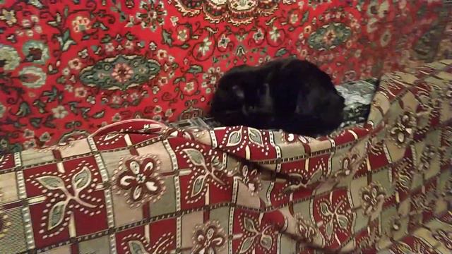 Как правильно заправлять Диван если на нем Котэйка смотреть онлайн
