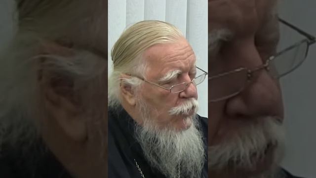 как правильно прожить жизнь. протоиерей Димитрий Смирнов. #religion. #motivation . смотреть онлайн