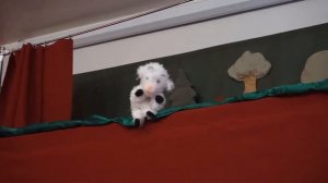 Кукольный театр с пьесой «Овечка и пастух»