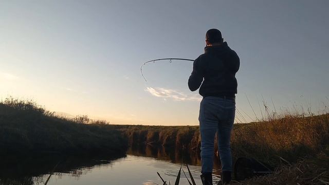 First chinook of my life | Twitching Jigs | Salmon fishing Vancouver #fishing #salmonfishing смотреть онлайн
