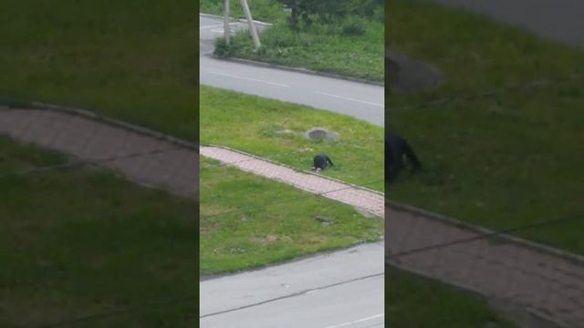 Бухая баба смотреть онлайн