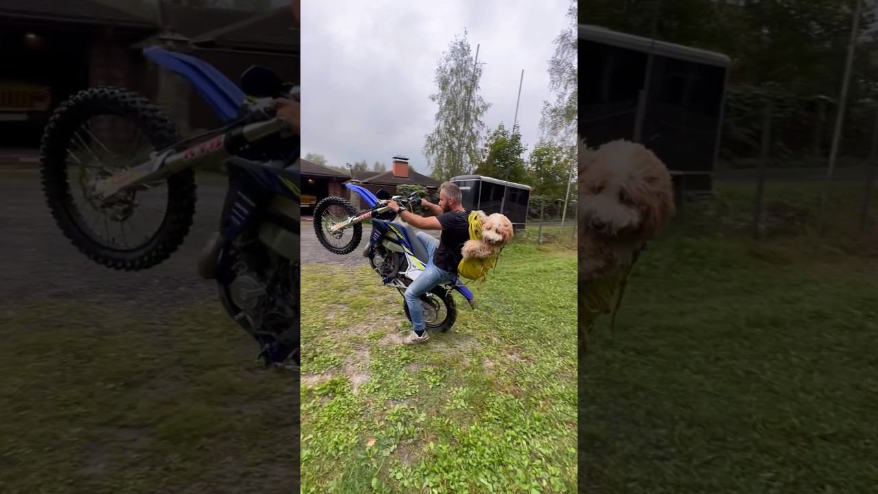 Enduro doodle смотреть онлайн
