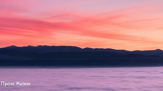 Снова муж унизил жену, но ,,Это было в последний раз,,- решила она и ... смотреть онлайн