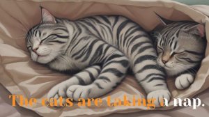 Let's read CVC words  |  Fun CVC Words Reading Practice for Kindergarten Kids| ap-word family .