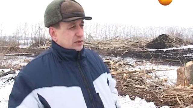 Берегите лес! В деревне Большие Извалы Елецкого района вырубили около 50 гектар лесозащитных полос смотреть онлайн