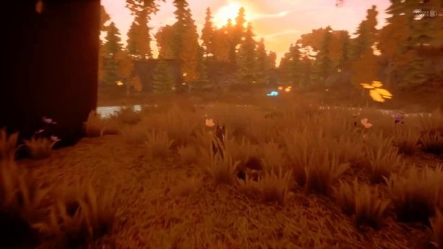 Paws & Soul: First Step Full Game - No Commentary смотреть онлайн