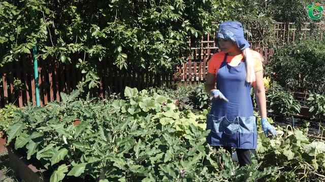 Стройка Вдохновений