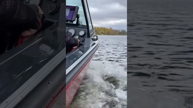 Моторные лодки SIBERIA в СПб #boatshow #siberias4 смотреть онлайн