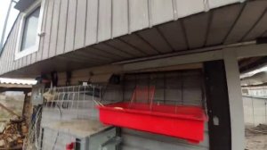 Обзор голубятни внутри из чего делаю гнёзда