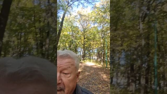 К семинару в Санкт-Петербурге [ 4 - 9 ноября 2022 ] смотреть онлайн