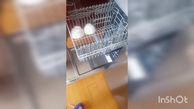 Ыдыс жуатын машинаны калай косамыз.Как включитьПосудомойку смотреть онлайн