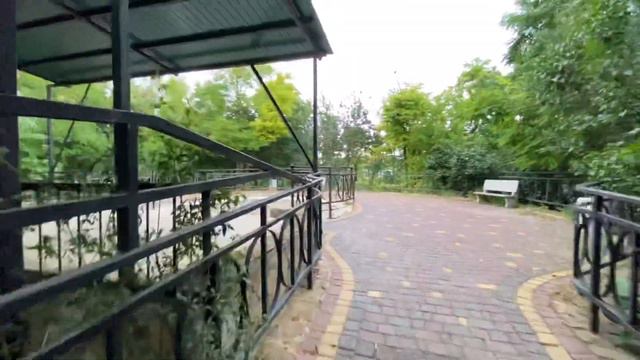 ПРЯМО СЕЙЧАС В ПАРКЕ ! Проверяющие ищут ПОТЕРЯННОГО ТЮЛЕНЯ ! смотреть онлайн
