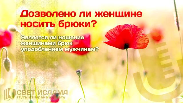 Дозволено ли женщине носить брюки? | Салим Абу Умар смотреть онлайн