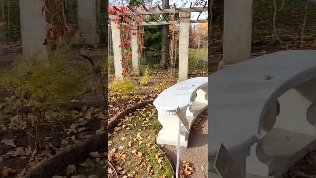 Ораниенбаум. Китайский дворец. смотреть онлайн