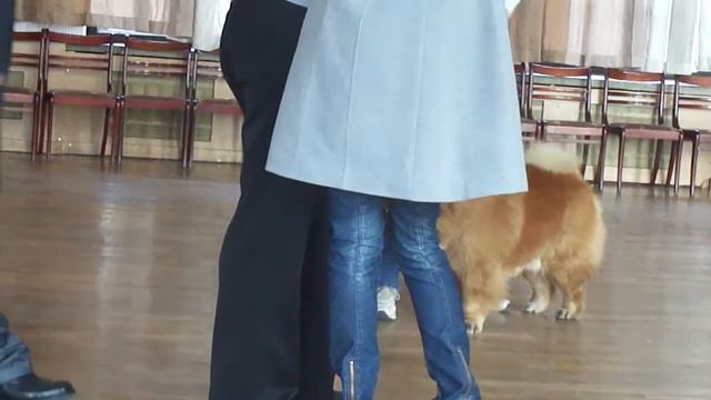 Чемпионат 5 группы. Часть 2. смотреть онлайн