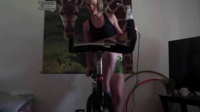 Safari Spin Sesh смотреть онлайн