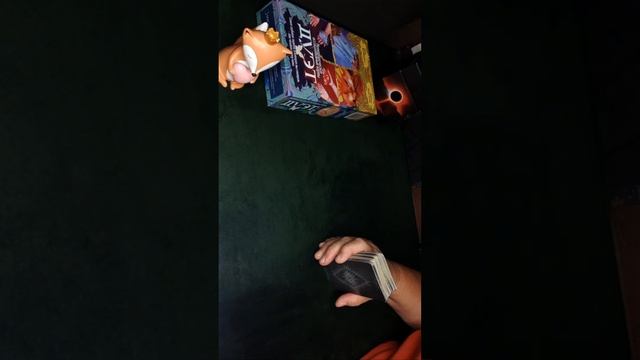 Elena Gitlin в прямом эфире