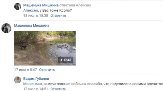 Оптимизация группы ВКонтакте. Как привлечь подписчиков в ВК без накрутки через комментарии. смотреть онлайн