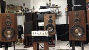 Сравниваем по звуку Diatone ds-77z & Diatone ds-800z часть 2