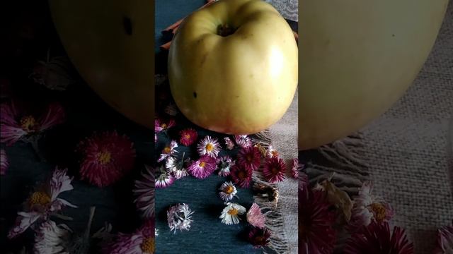 Как делать свою Жизнь...приятнее#как#делать#хуторянка#свою#жизнь#приятно смотреть онлайн