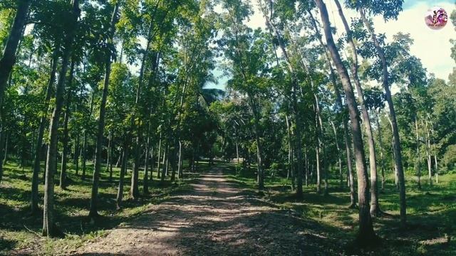 PUPOT BUKAL TANAY RZ. The Best Way To Go There. смотреть онлайн