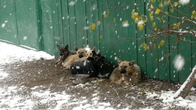 Народные погодные приметы на Покров. смотреть онлайн
