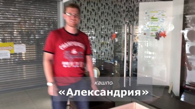 Ящики-вазоны для цветов, растений: деревянные кашпо смотреть онлайн
