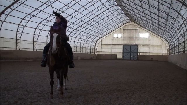 Вестерн: уступка задом смотреть онлайн