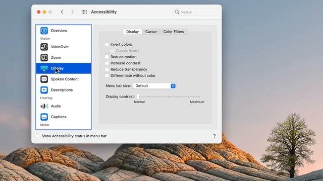 How to make mouse cursor and clicks bigger on your Mac or iMac || cursor and clicks || zoom in & ou смотреть онлайн