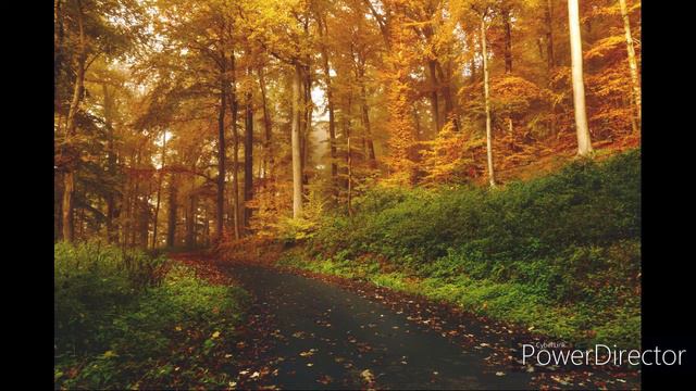 Beautiful Relaxing Music Прекрасная расслабляющая музыка Dam oluvchi musiqa смотреть онлайн