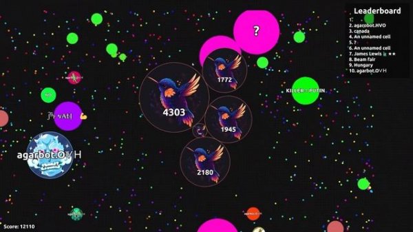 Playing Agario with an Unpublished "Black Cat" VIP Skin! Agar.io Solo Gameplay