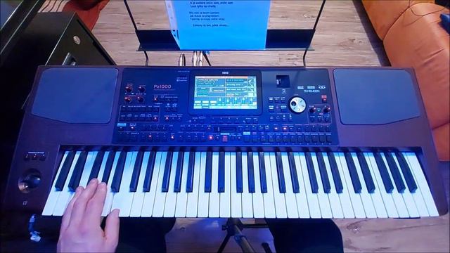 Czerwone Gitary - Lecz tylko na chwilę cover Łukasz Korg Pa - 1000 смотреть онлайн