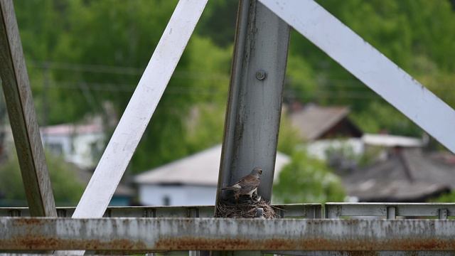 DSC_8394 смотреть онлайн