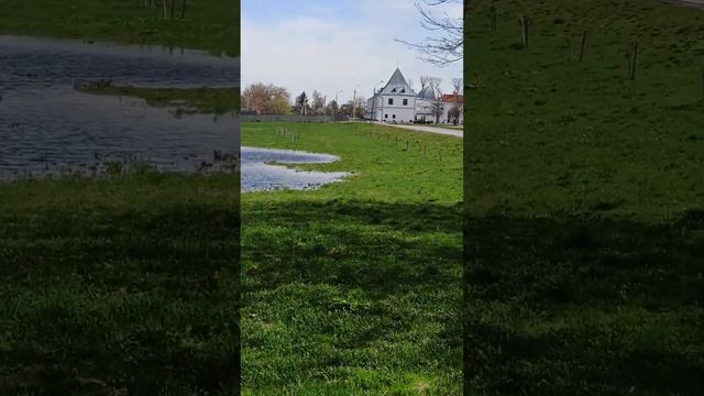Природа вся красива и радует глаза и сердце потому что она создана Богом для человека. смотреть онлайн