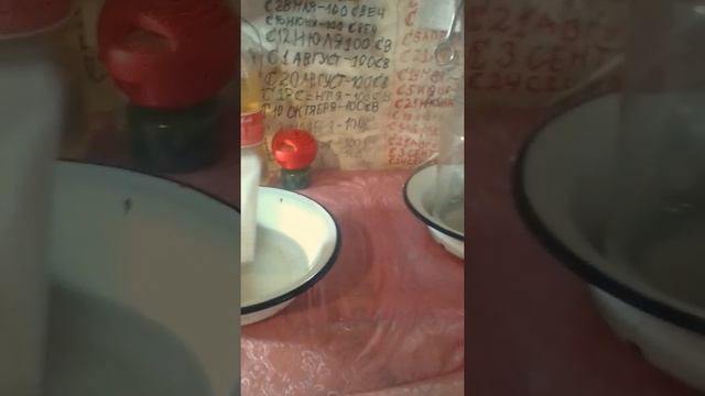 Как стать вампиром в реальной жизни смотреть онлайн