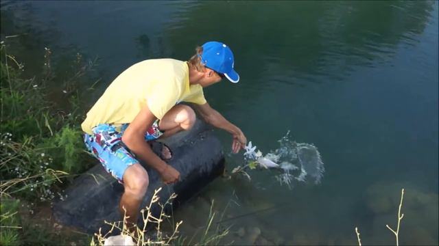 Ловля форели в питомнике смотреть онлайн