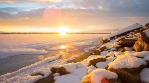 Зов Дикой природы