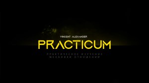 Vincent Alexander - Закрытый урок Практикума. Поле Отношений